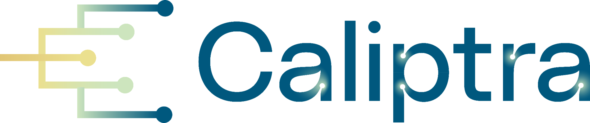Caliptra program logo